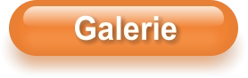 Galerie